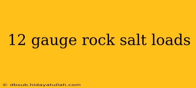 12 gauge rock salt loads