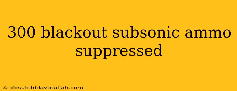 300 blackout subsonic ammo suppressed