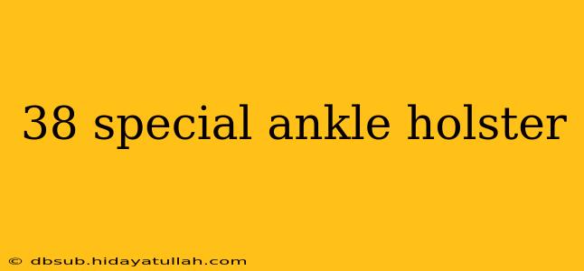 38 special ankle holster