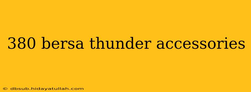 380 bersa thunder accessories