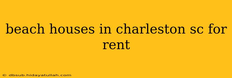 beach houses in charleston sc for rent