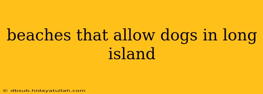 beaches that allow dogs in long island