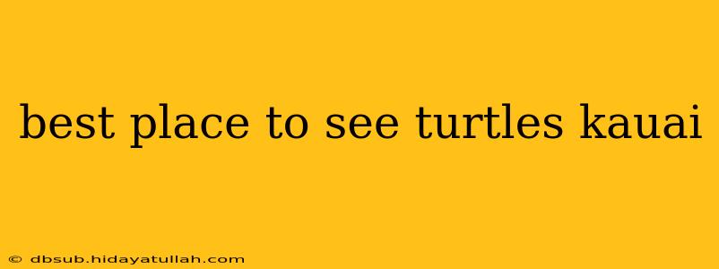 best place to see turtles kauai