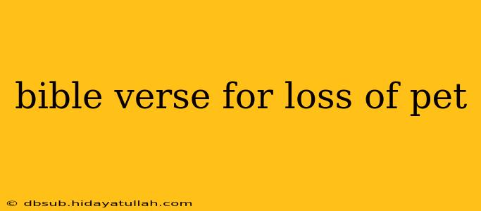 bible verse for loss of pet