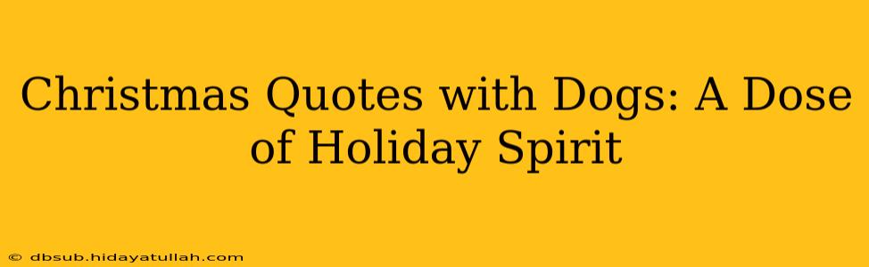 Christmas Quotes with Dogs: A Dose of Holiday Spirit