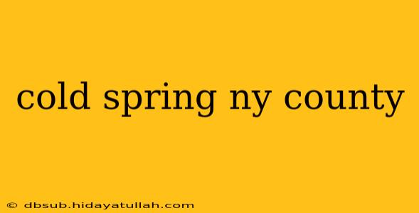 cold spring ny county