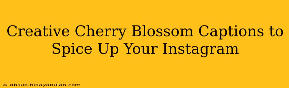 Creative Cherry Blossom Captions to Spice Up Your Instagram