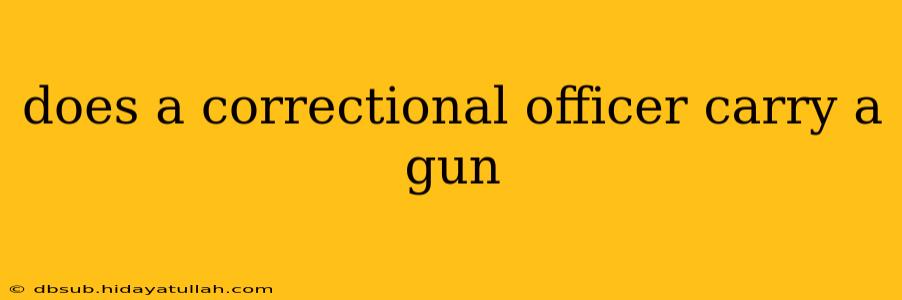 does a correctional officer carry a gun