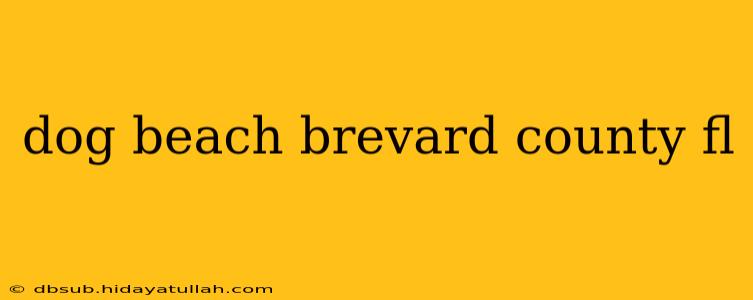 dog beach brevard county fl