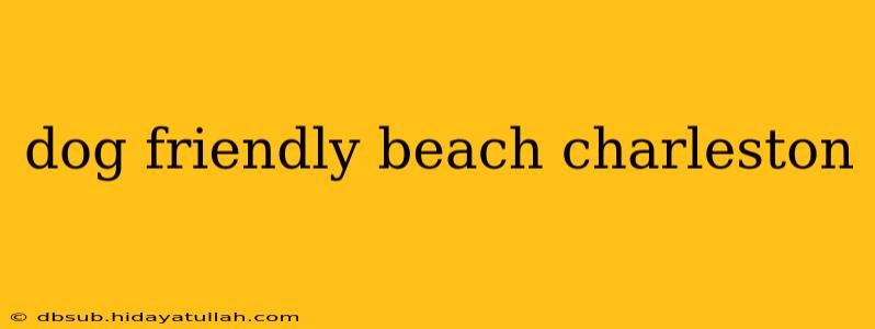 dog friendly beach charleston