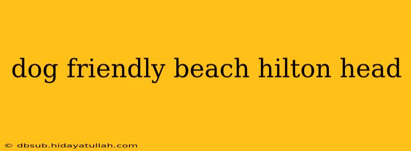 dog friendly beach hilton head