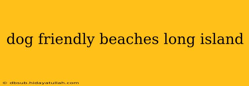 dog friendly beaches long island