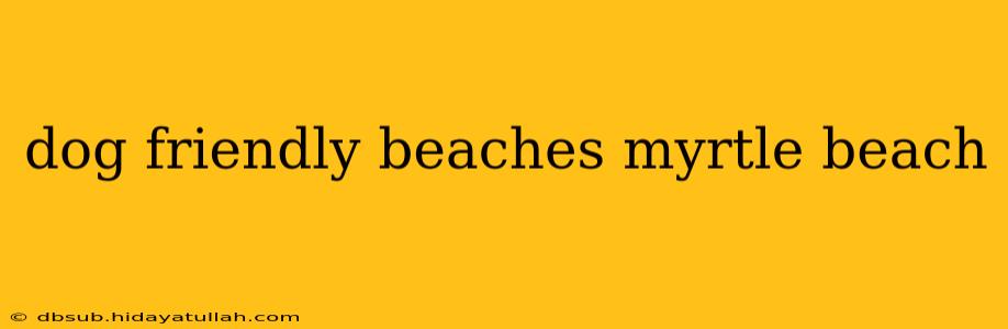 dog friendly beaches myrtle beach