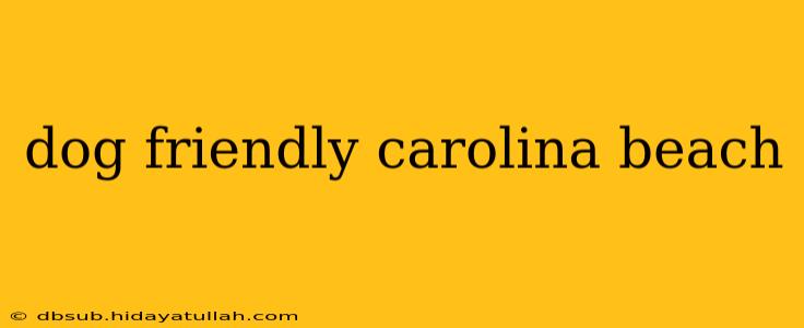 dog friendly carolina beach