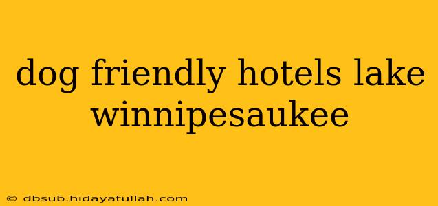 dog friendly hotels lake winnipesaukee