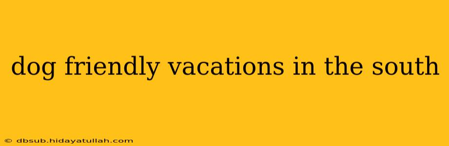 dog friendly vacations in the south