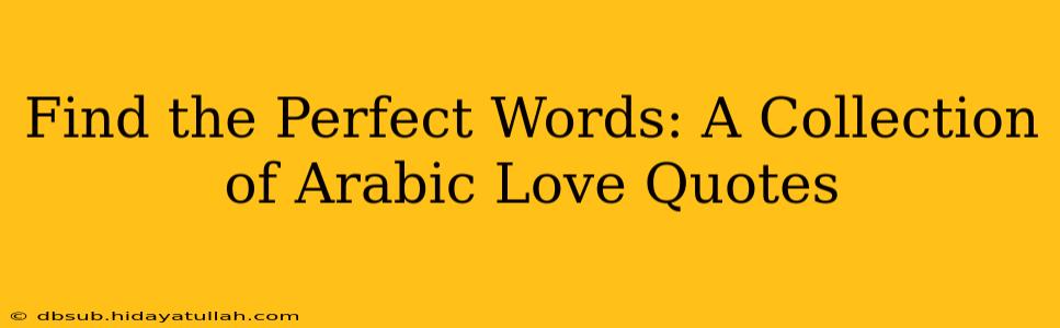 Find the Perfect Words: A Collection of Arabic Love Quotes