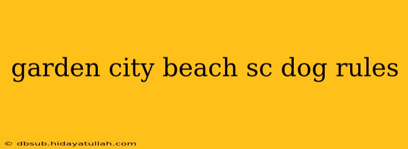 garden city beach sc dog rules