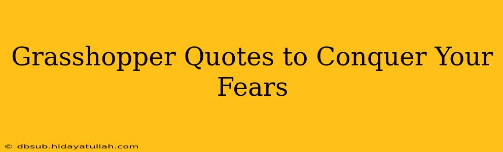 Grasshopper Quotes to Conquer Your Fears