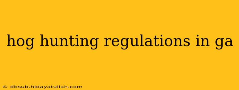 hog hunting regulations in ga