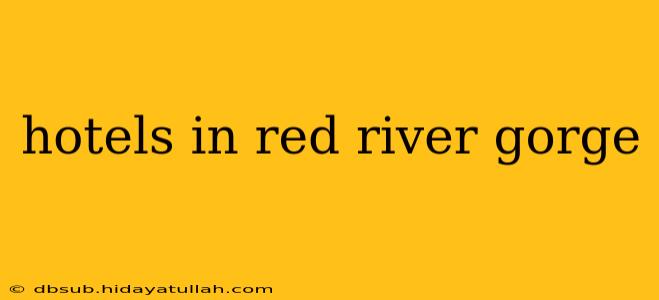 hotels in red river gorge