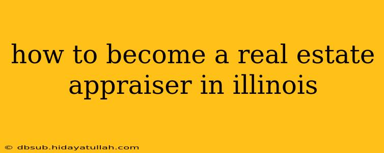 how to become a real estate appraiser in illinois