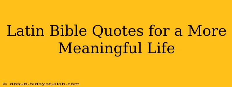 Latin Bible Quotes for a More Meaningful Life