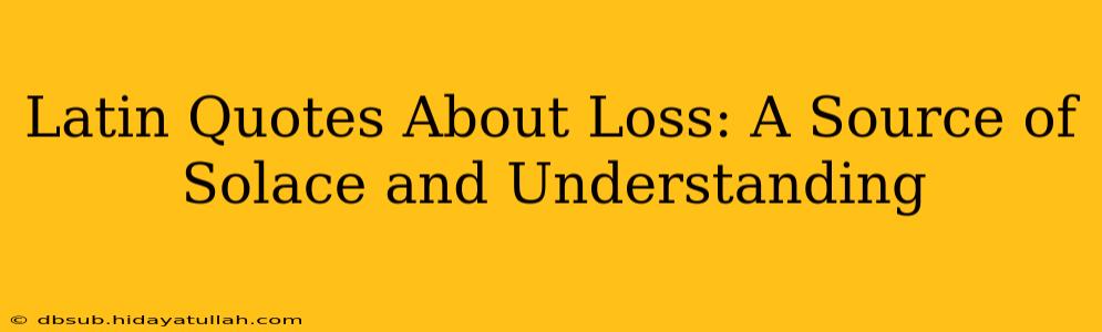 Latin Quotes About Loss: A Source of Solace and Understanding