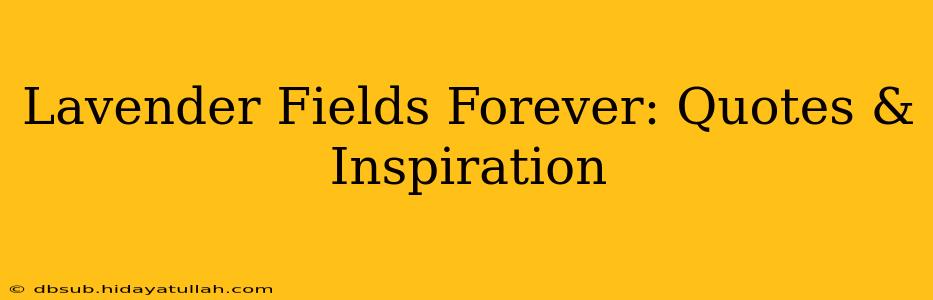 Lavender Fields Forever: Quotes & Inspiration