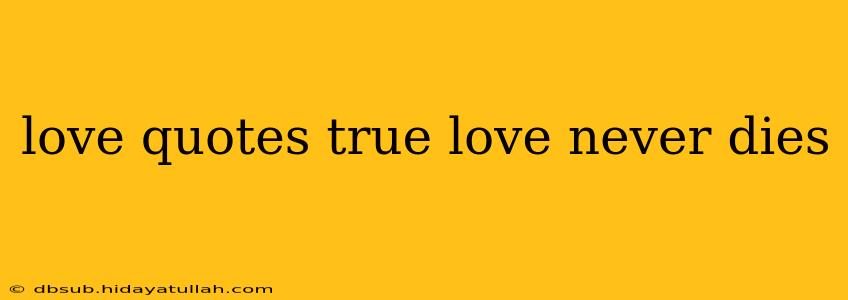 love quotes true love never dies