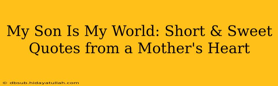My Son Is My World: Short & Sweet Quotes from a Mother's Heart