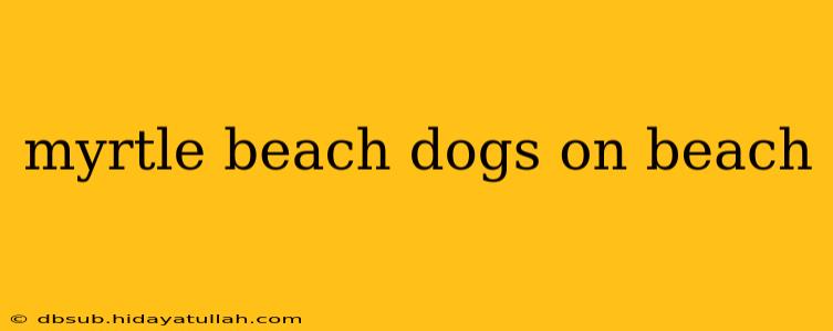 myrtle beach dogs on beach
