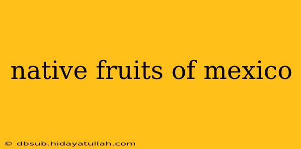 native fruits of mexico