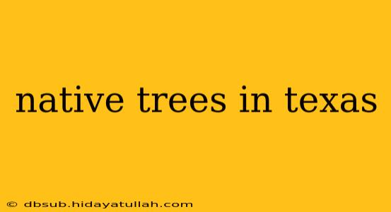 native trees in texas