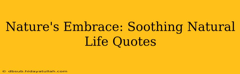 Nature's Embrace: Soothing Natural Life Quotes