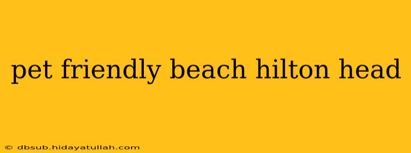 pet friendly beach hilton head