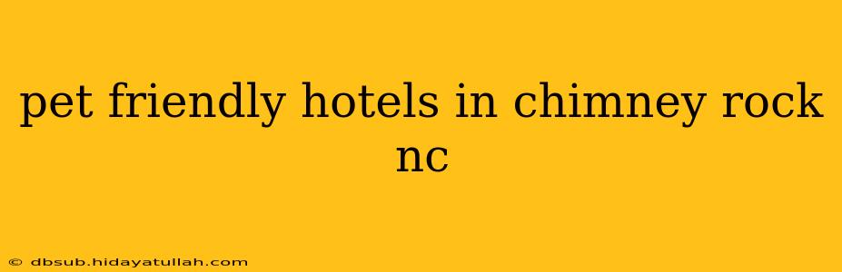 pet friendly hotels in chimney rock nc