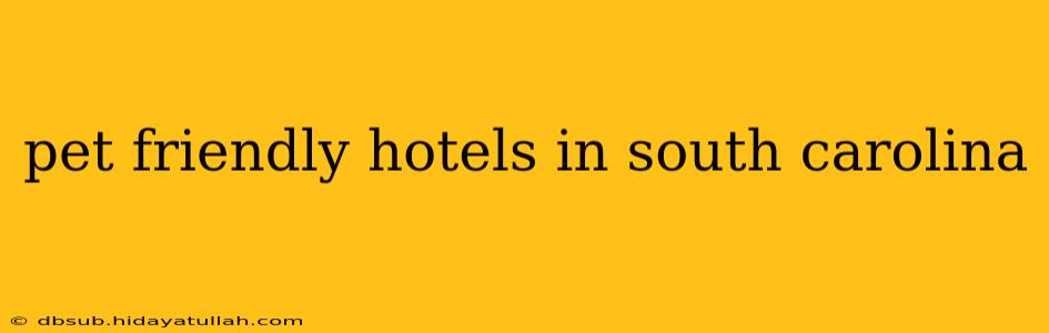 pet friendly hotels in south carolina