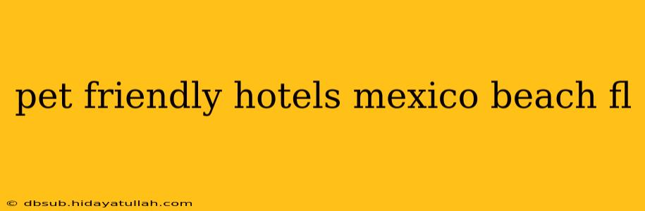 pet friendly hotels mexico beach fl