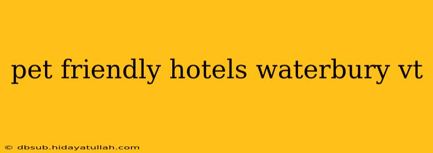 pet friendly hotels waterbury vt