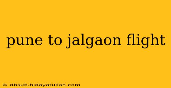 pune to jalgaon flight