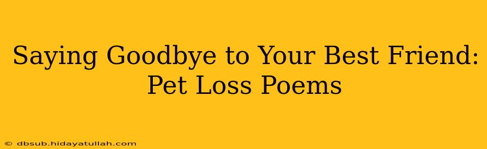 Saying Goodbye to Your Best Friend: Pet Loss Poems