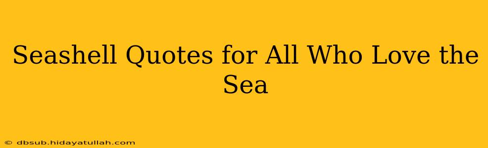 Seashell Quotes for All Who Love the Sea