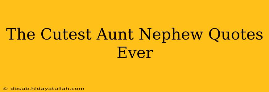 The Cutest Aunt Nephew Quotes Ever