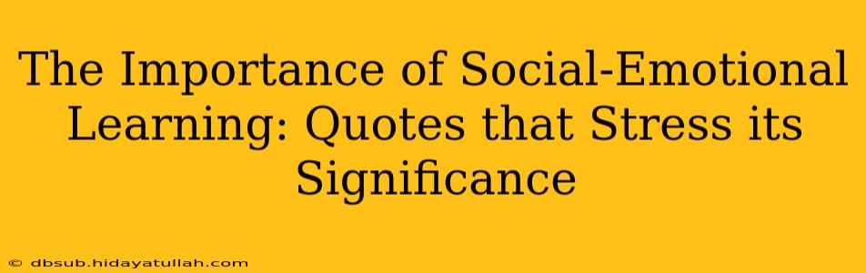 The Importance of Social-Emotional Learning: Quotes that Stress its Significance