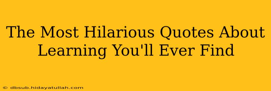 The Most Hilarious Quotes About Learning You'll Ever Find