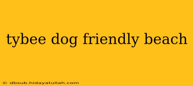 tybee dog friendly beach