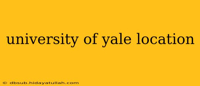 university of yale location