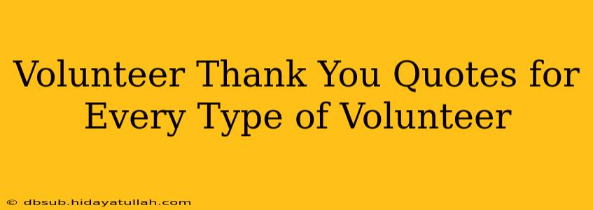 Volunteer Thank You Quotes for Every Type of Volunteer