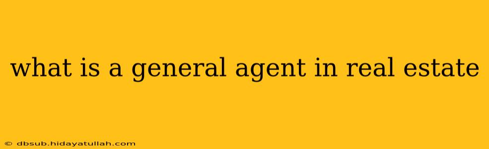 what is a general agent in real estate